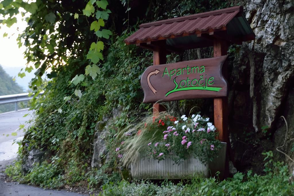 Apartment Sotocje Dolenja Trebusa エクステリア 写真
