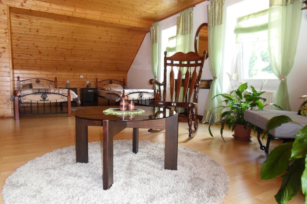 Apartment Sotocje Dolenja Trebusa 部屋 写真